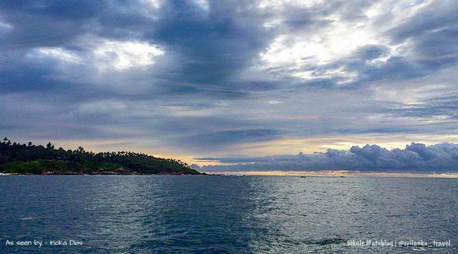 Mirissa Whale Watching Location